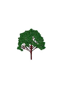 Orchard Restorations